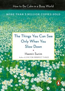 The Things You Can See Only When You Slow Down book cover