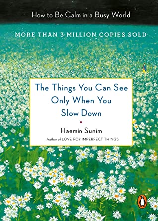 the things you can see only when you slow down book cover
